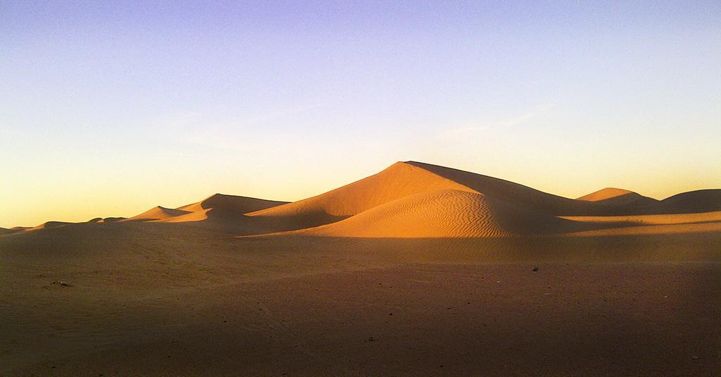 زڭورة Riad Dar Zaouia الغرفة الصورة